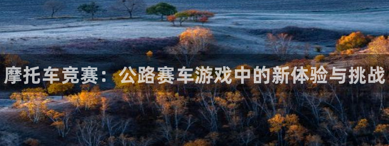 手机版辉达娱乐客户端下载：摩托车竞赛：公路赛车游戏中的新体验