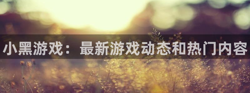 辉达娱乐开户测速：小黑游戏：最新游戏动态和热门内容