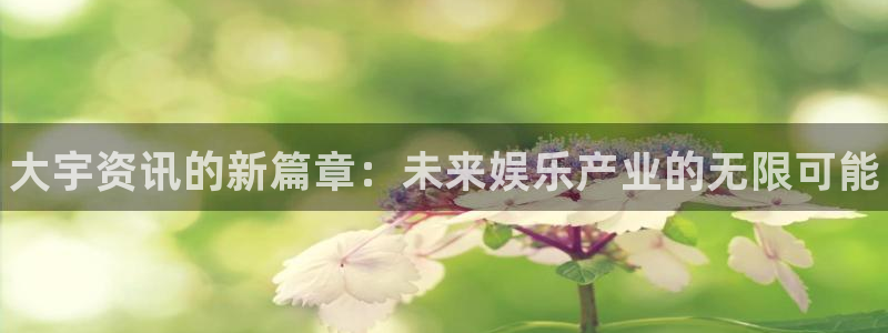 辉达娱乐4开户：大宇资讯的新篇章：未来娱乐产业的无限可能