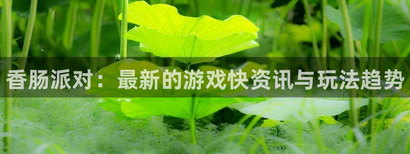 辉达娱乐平台注册：香肠派对：最新的游戏快资讯与玩法趋势