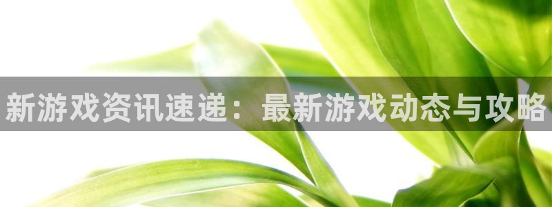 辉达娱乐平台注册开户：新游戏资讯速递：最新游戏动态与攻略