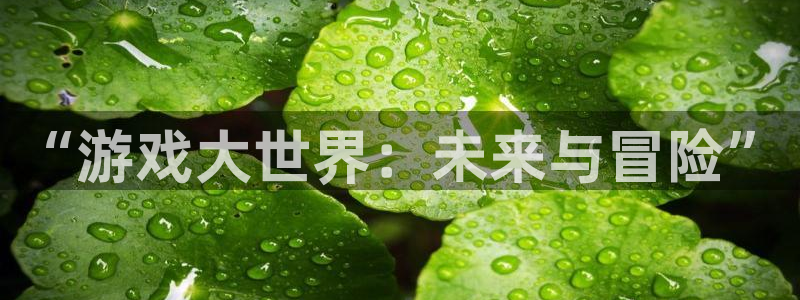 辉达娱乐线路测试：“游戏大世界：未来与冒险”