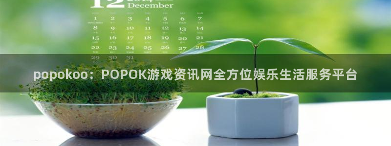 辉达娱乐的意思：popokoo：POPOK游戏资讯网全方位娱