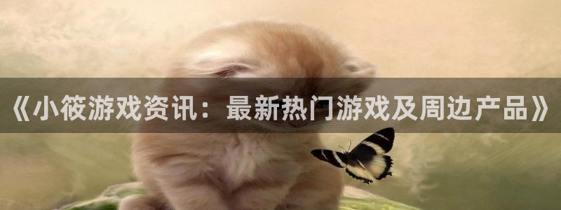 辉达娱乐的意思：《小筱游戏资讯：最新热门游戏及周边产品》
