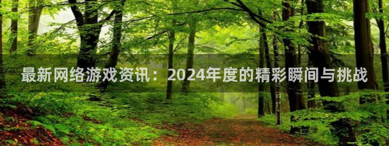 辉达娱乐注册登录平台：最新网络游戏资讯：2024年度的精彩瞬
