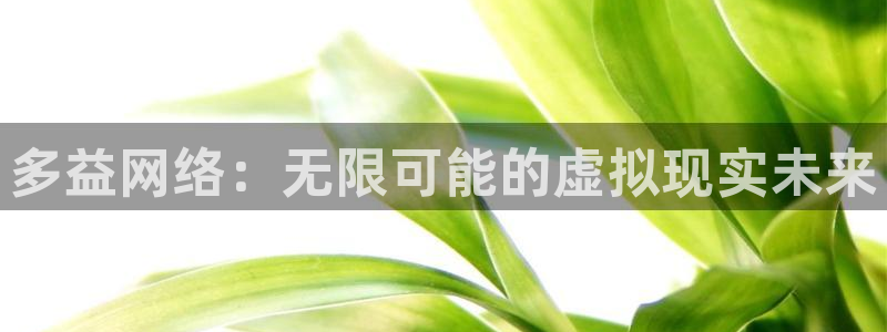 辉达娱乐注册官方登录app：多益网络：无限可能的虚拟现实未来