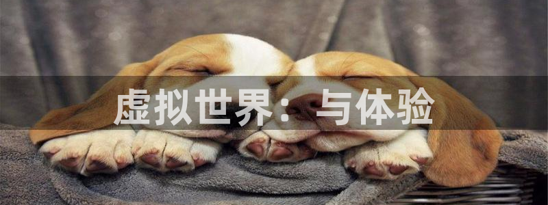 辉达娱乐注册：虚拟世界：与体验