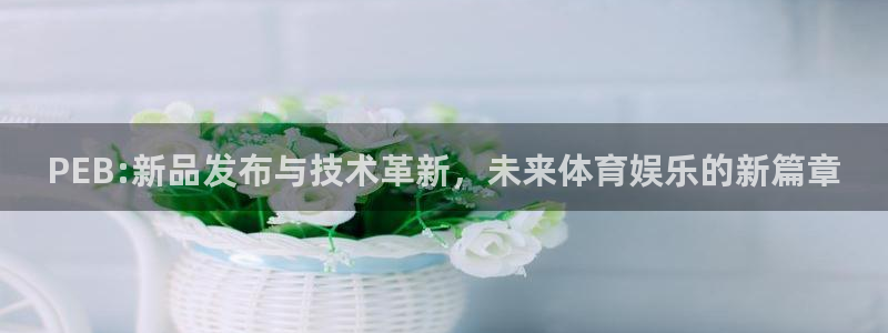 辉达娱乐升级5994月：PEB:新品发布与技术革新，未来体育